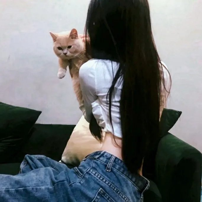 嫂夫人粤语